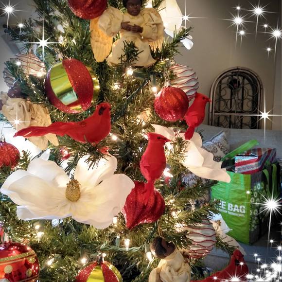 Meet your Posher, Corliss - Picture 1 of 1